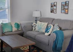 25b Olive - Image 4
