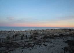 Ocean Harbor 5a - Image 4