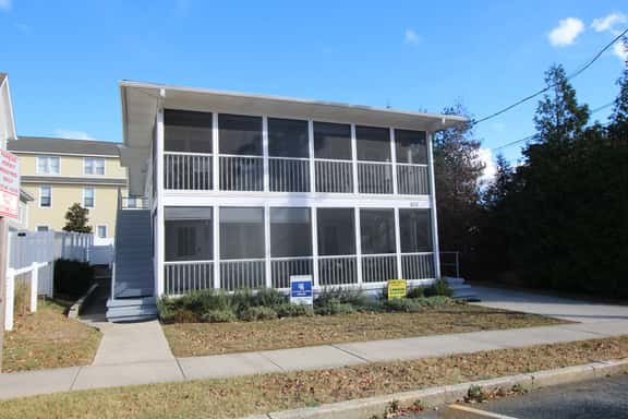 502c King Charles - Image 1
