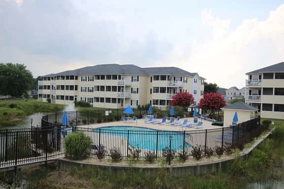 Palms 5202 - Image 1