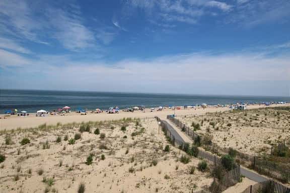 Beachcomber 2 - Image 1