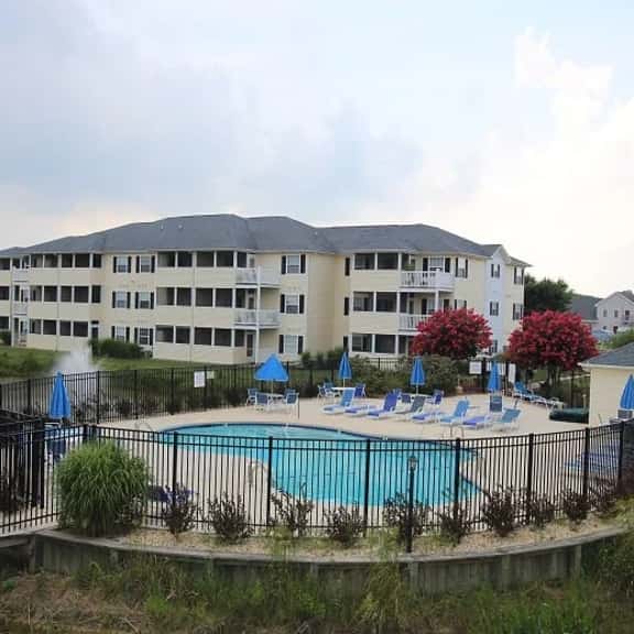 Palms 5202 - Image 1