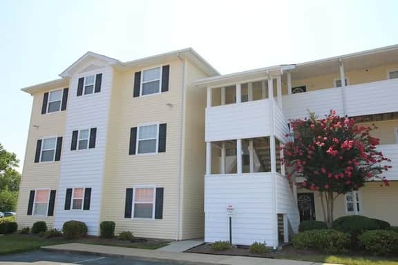 Palms 5202 - Image 2