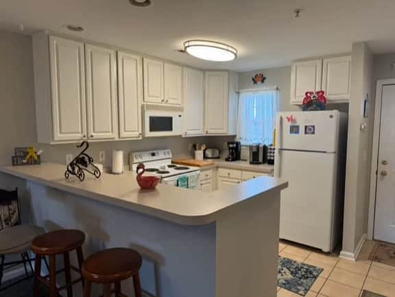 Palms 5202 - Image 3