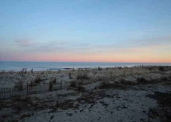 Ocean Harbor 5a - Image 4